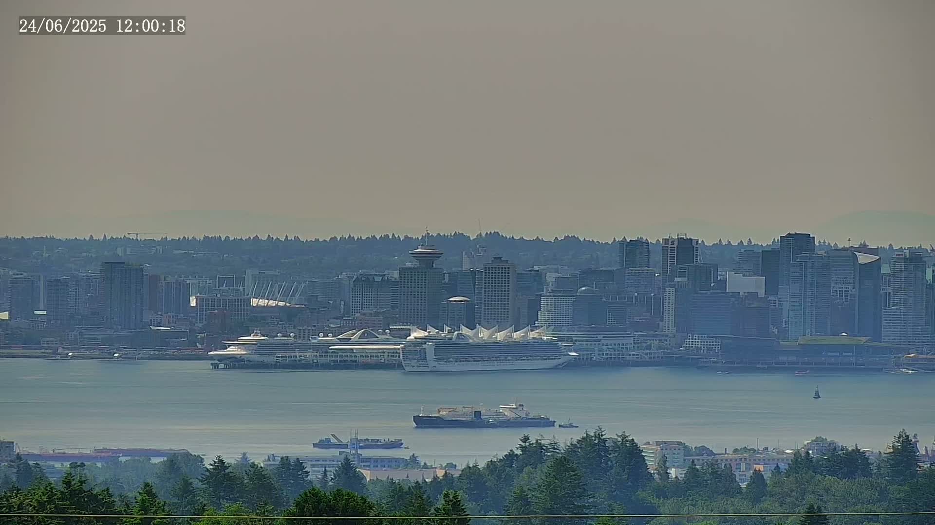 A hazy cityscape with a large cruise ship in the harbor is visible from a distance beyond a line of trees.