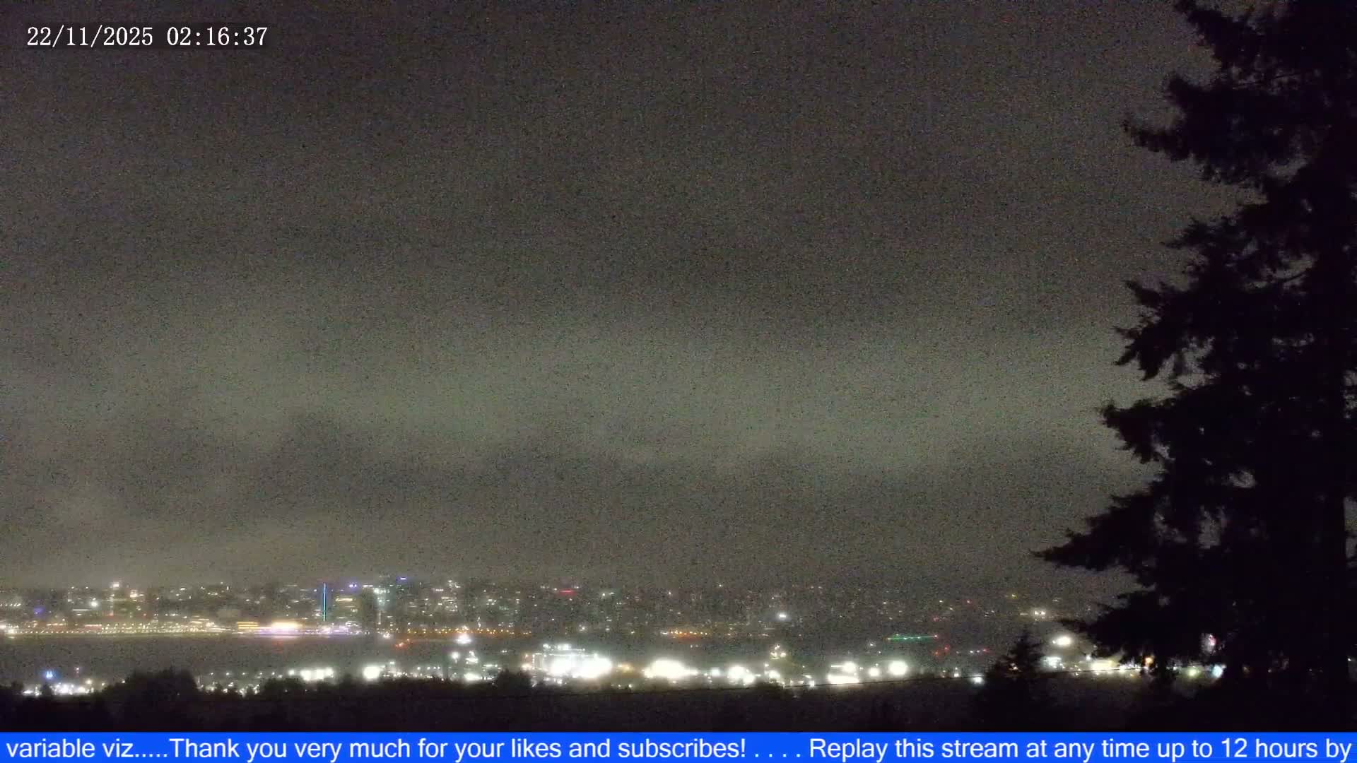 A hazy, overcast night view captures a distant city skyline brightly lit across a body of water, with a dark tree silhouetted prominently on the right.