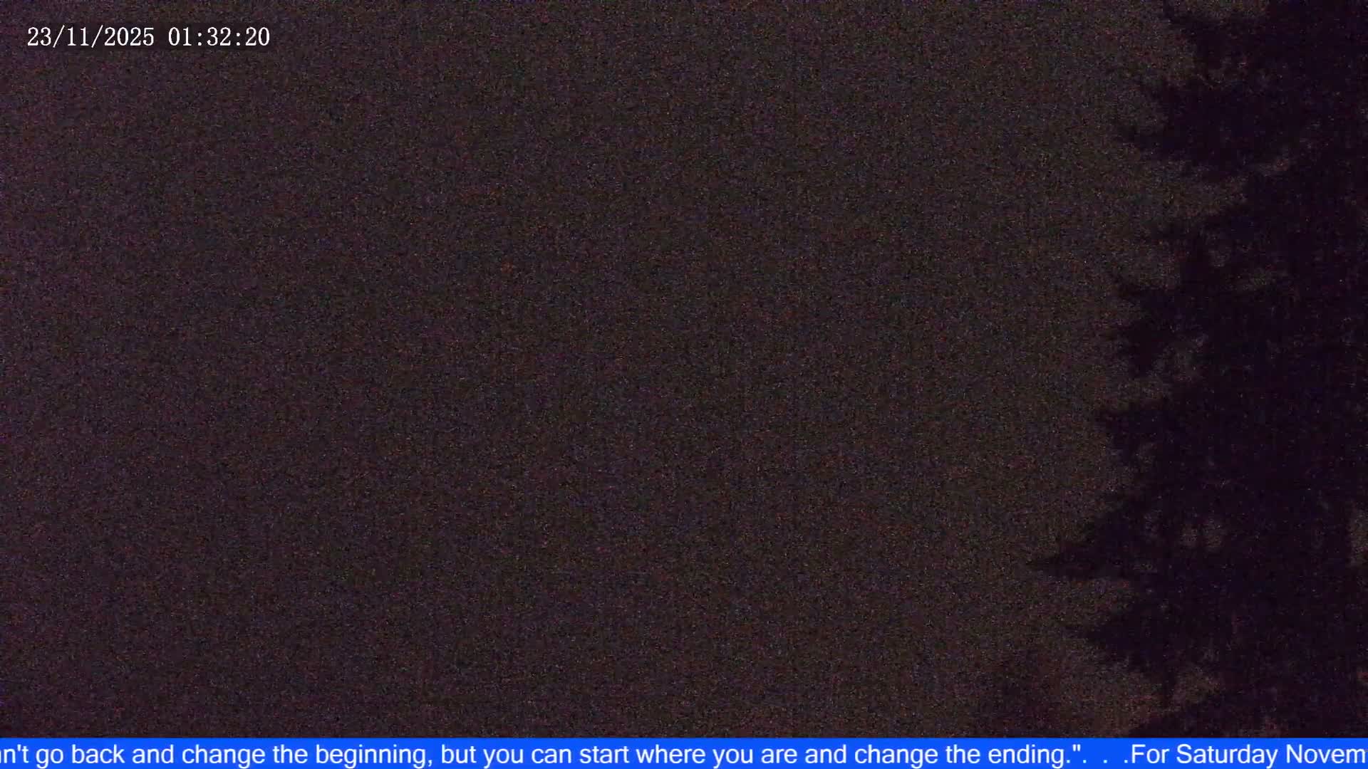 A dark and grainy outdoor night scene features a faint tree silhouette on the right, under clear conditions.