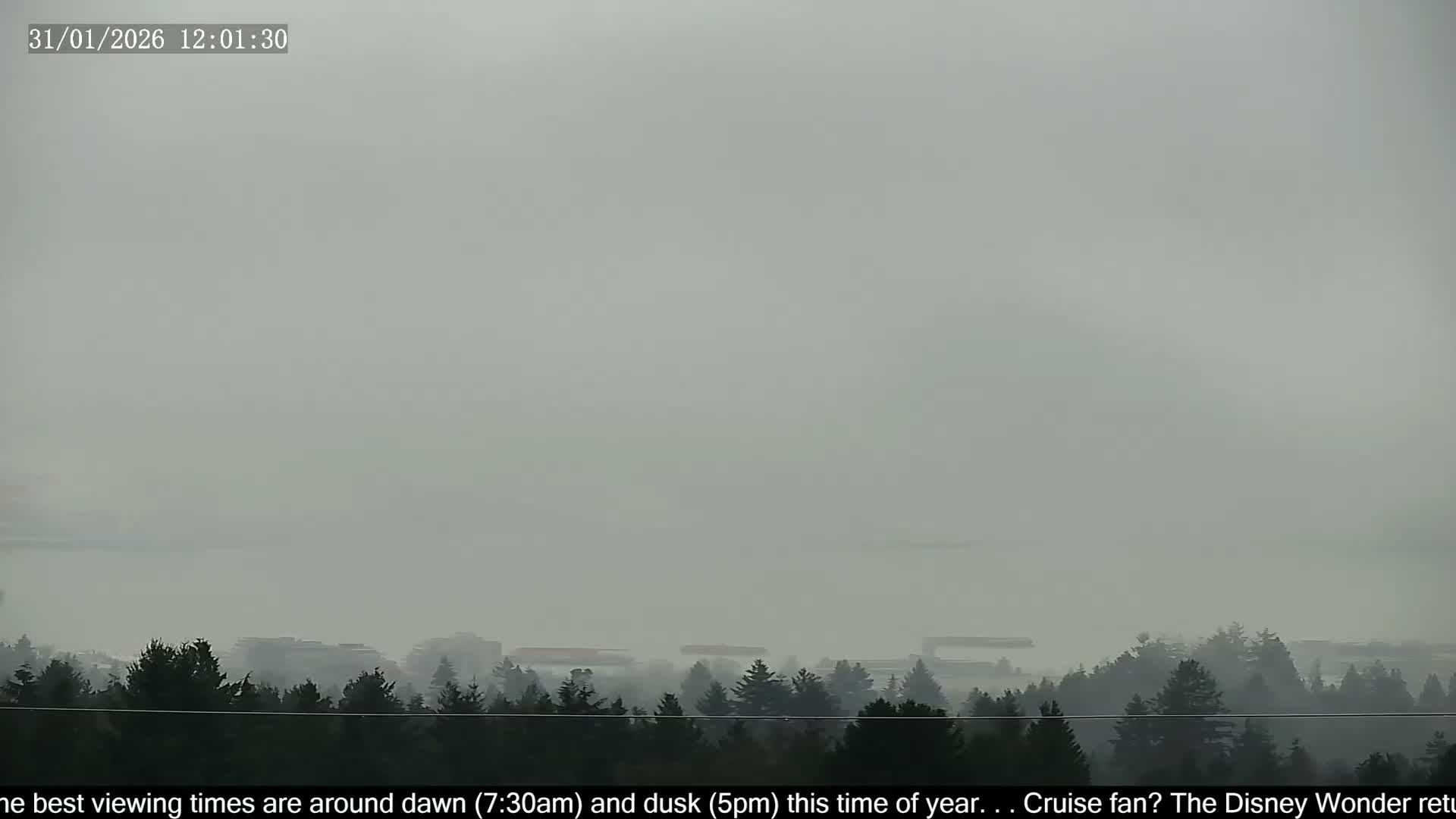 Vancouver City Skyline  & Cruise Ship Spotting Live Cam - Vancouver, Metro Vancouver, British Columbia, Canada