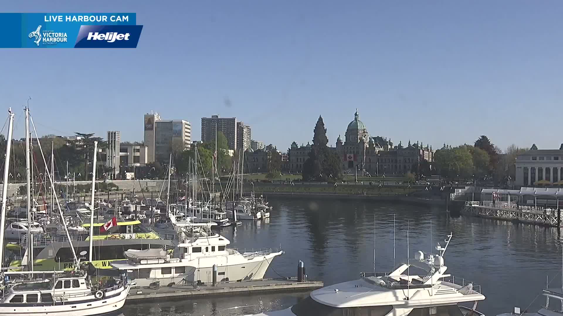 A harbor filled with sailboats and motor yachts on a sunny day, with a city skyline and a large, domed building in the background.
