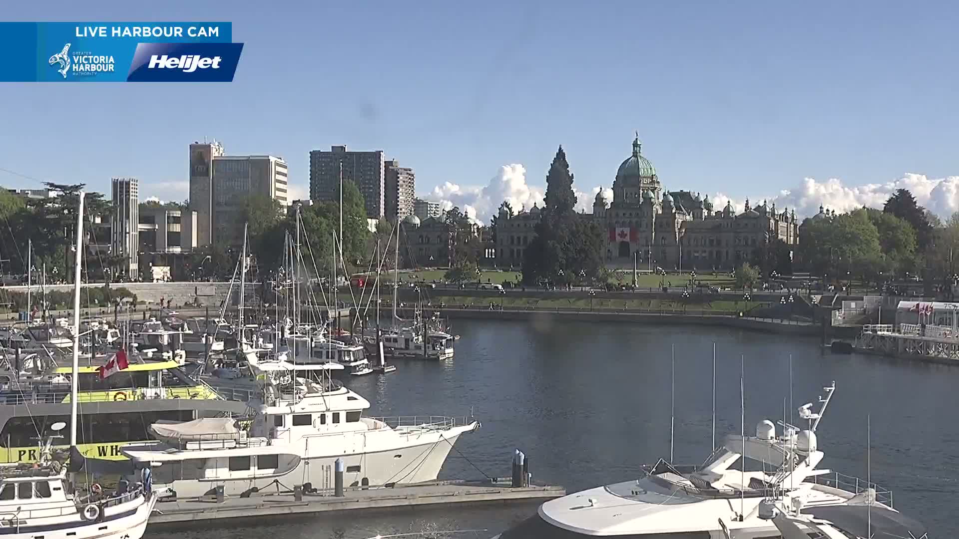 A harbor filled with numerous boats is situated in front of a city skyline featuring a large, domed building under a partly cloudy, sunny sky.