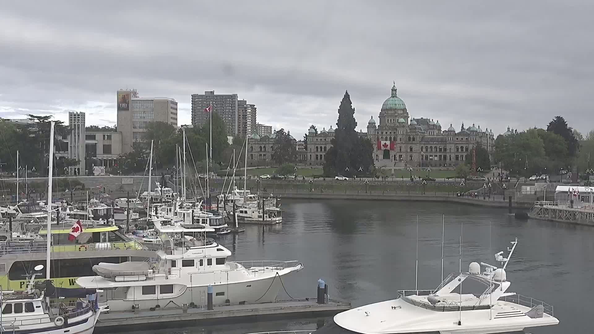 Victoria City Skyline & Victoria Harbour Live Cam - Victoria, Capital Regional District, British Columbia, Canada