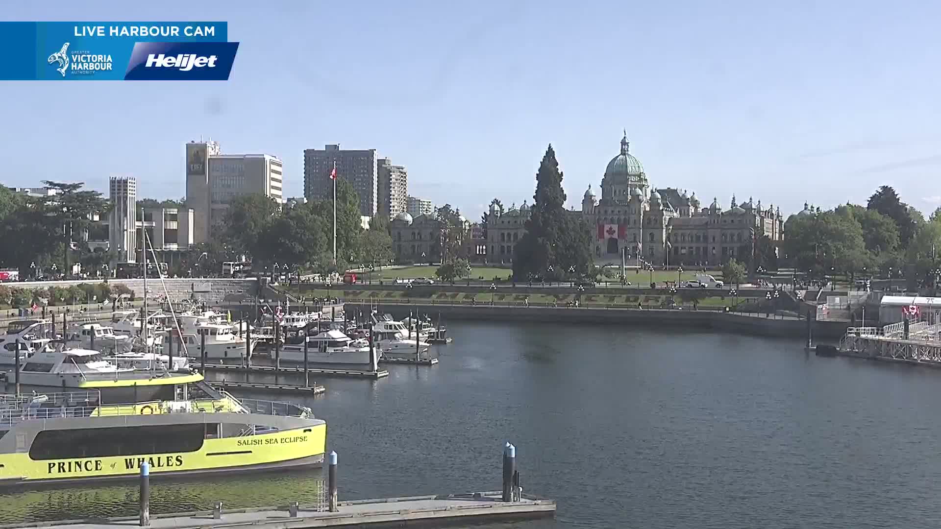 A harbor filled with boats sits in front of a city skyline featuring a large, domed building under a clear, sunny sky.