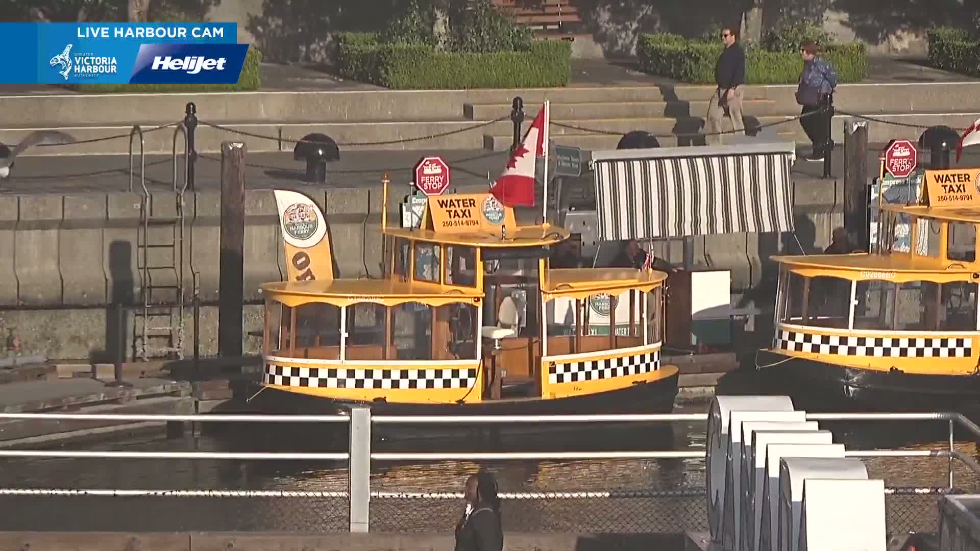 Two yellow water taxis are docked at a harbor on a sunny day.