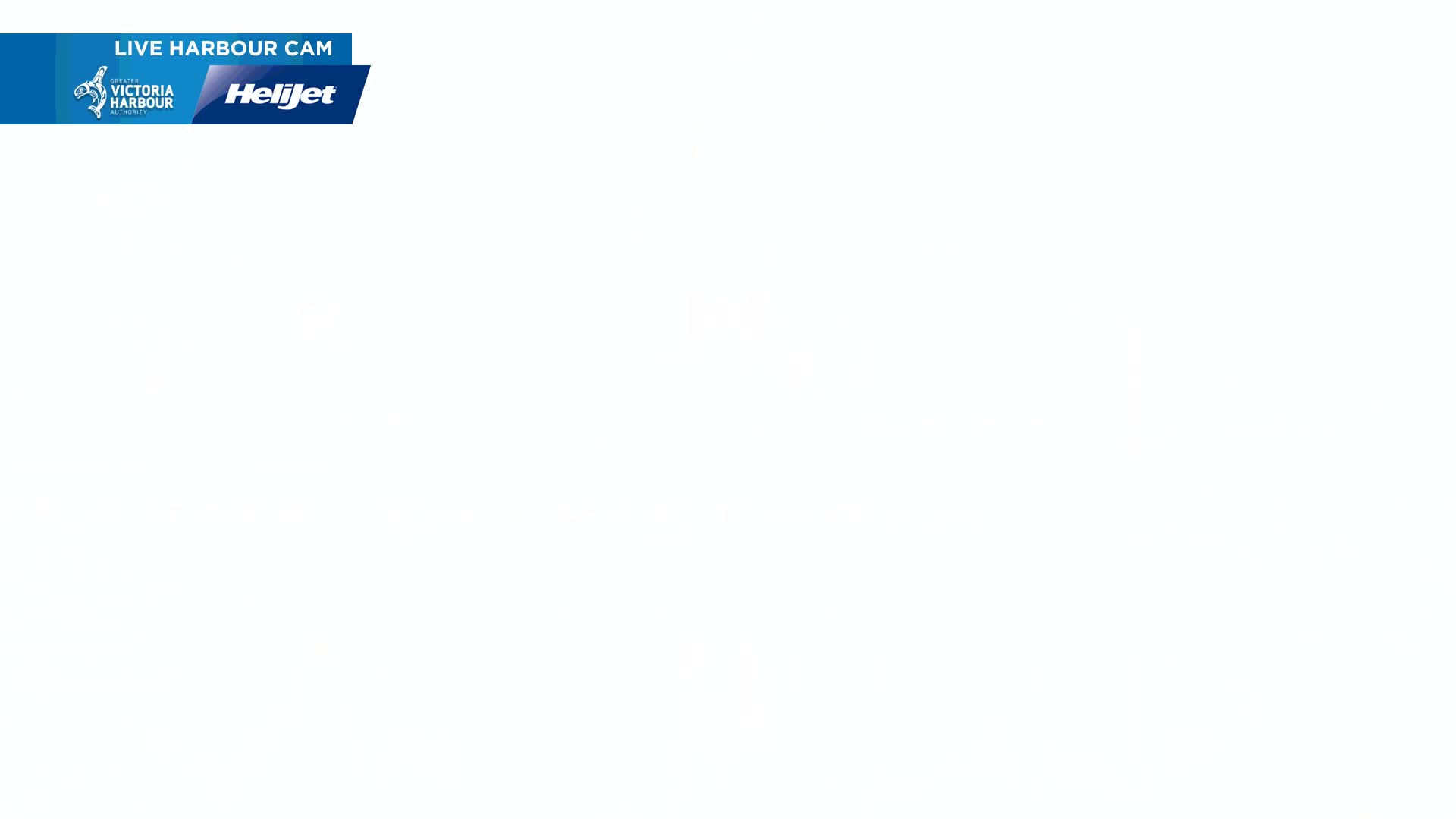 The image is a solid white background.