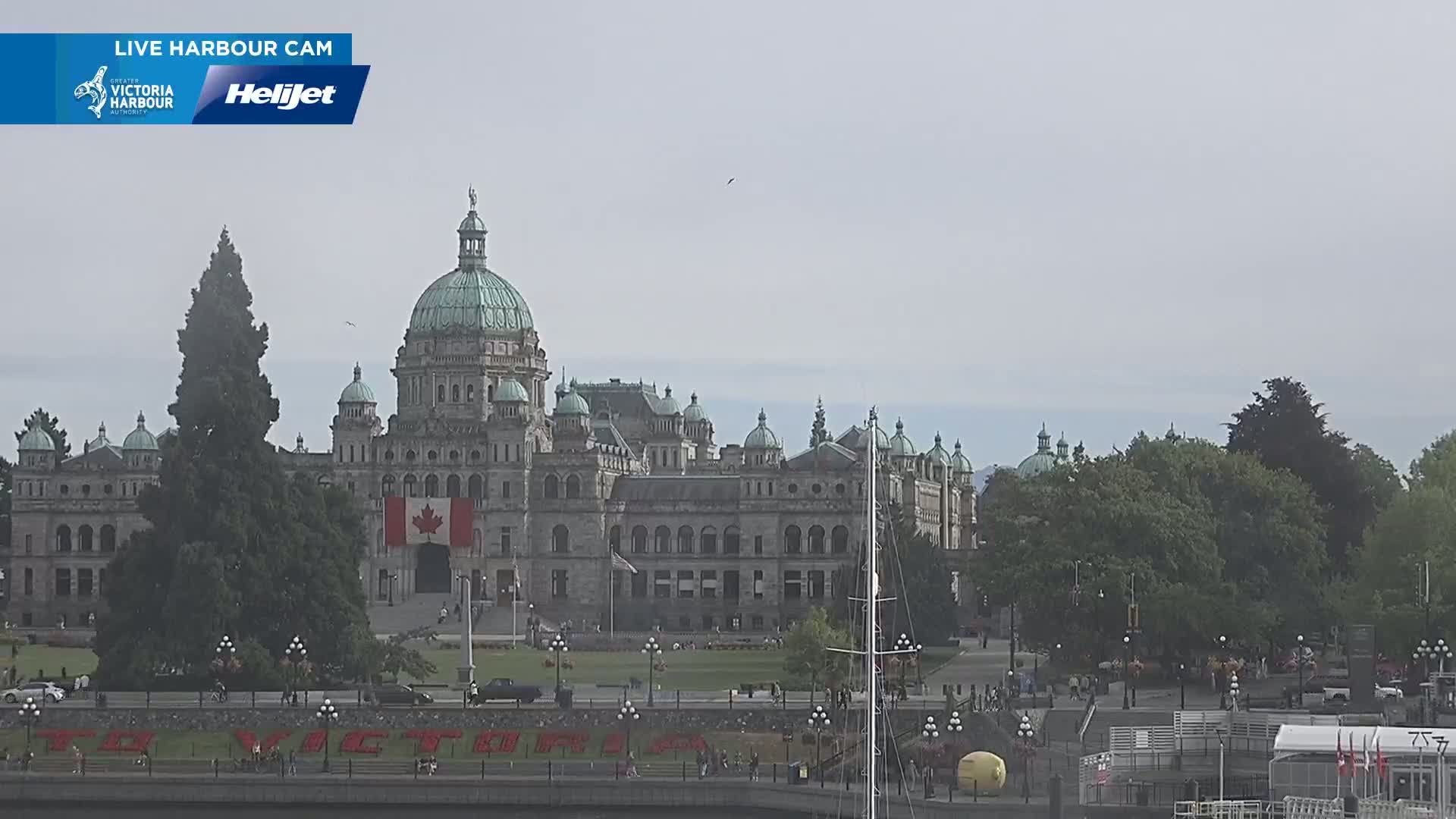 Victoria City Skyline & Victoria Harbour Live Cam - Victoria, Capital Regional District, British Columbia, Canada