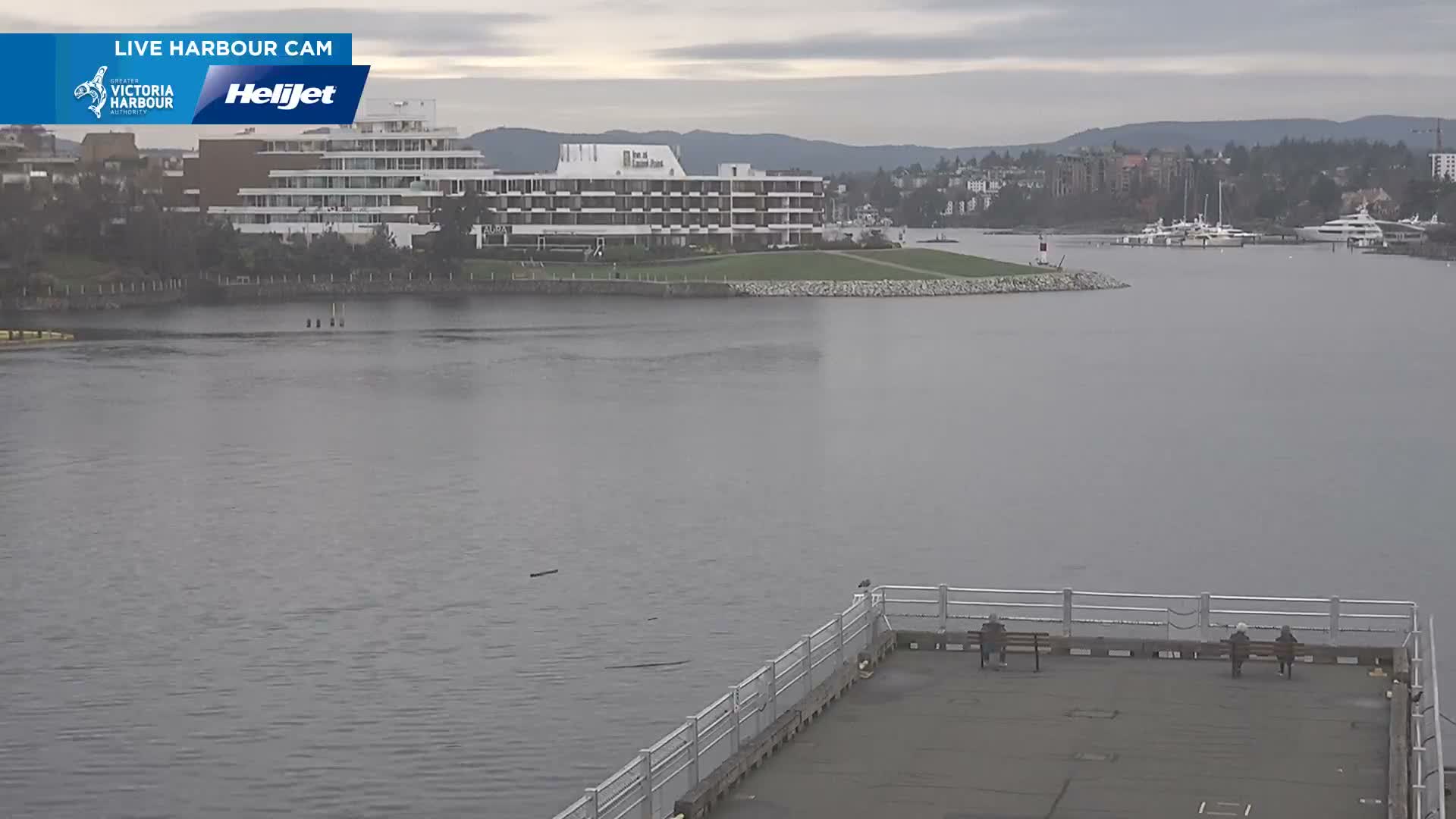 Victoria City Skyline & Victoria Harbour Live Cam - Victoria, Capital Regional District, British Columbia, Canada