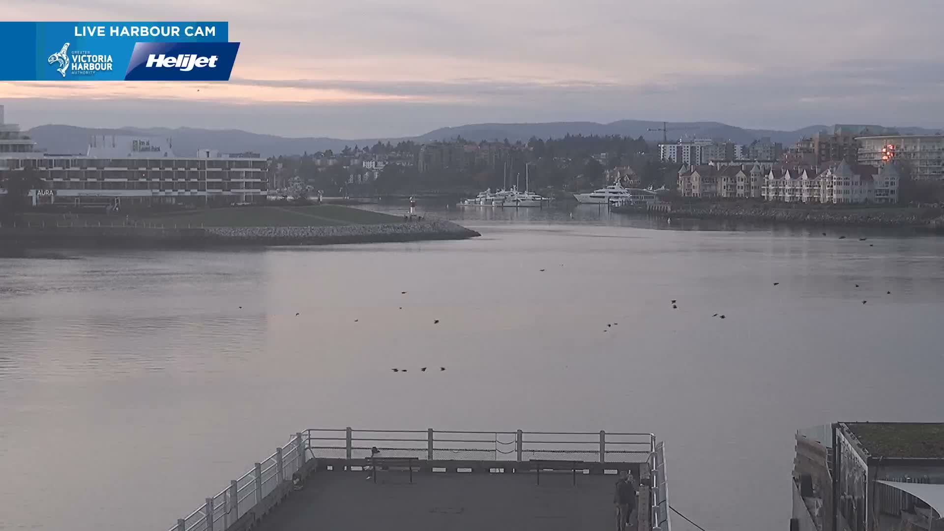 Victoria City Skyline & Victoria Harbour Live Cam - Victoria, Capital Regional District, British Columbia, Canada