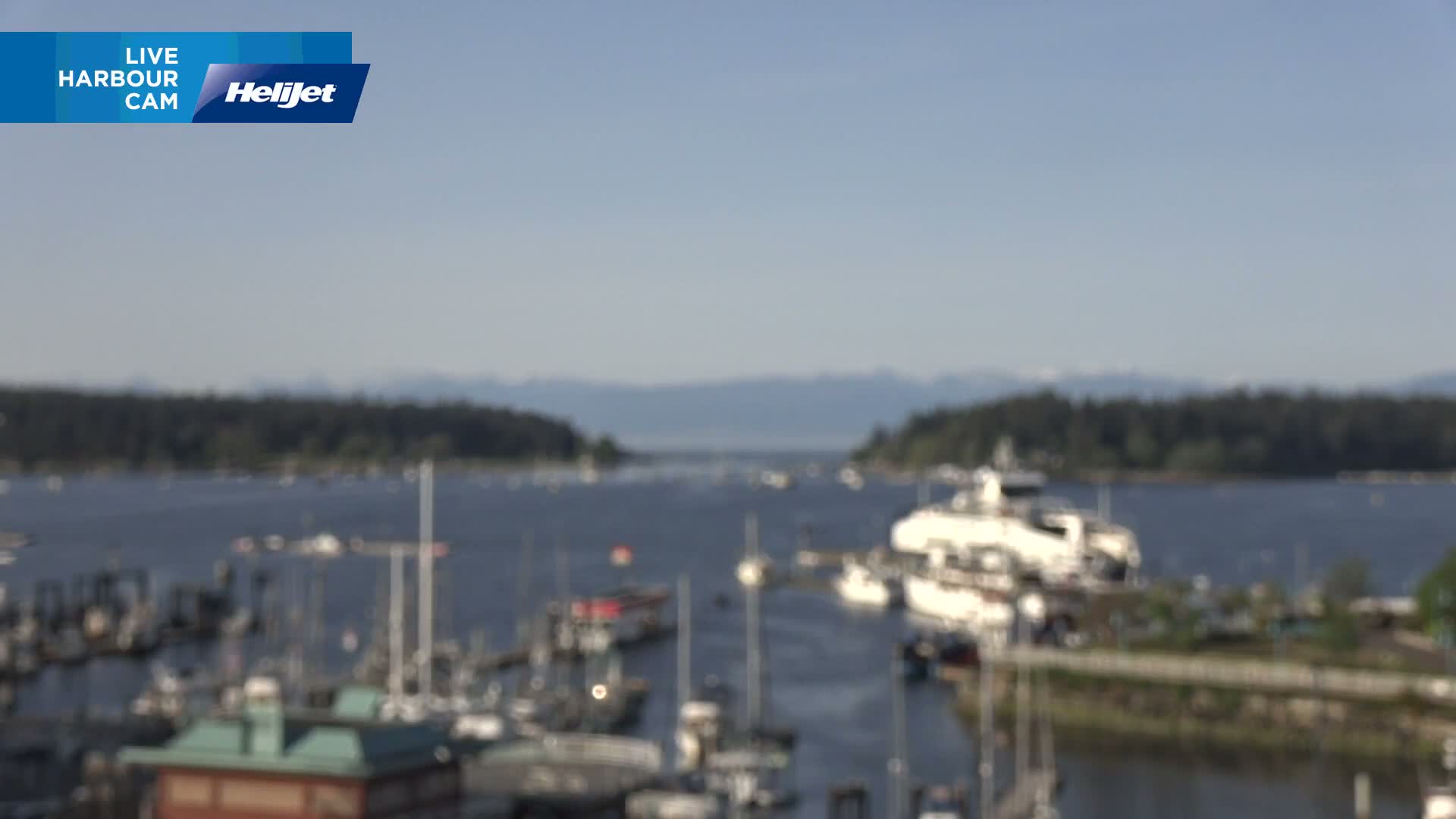 A hazy, sunny day reveals a harbor filled with numerous boats and yachts, with a background of forested hills and mountains across a calm body of water.