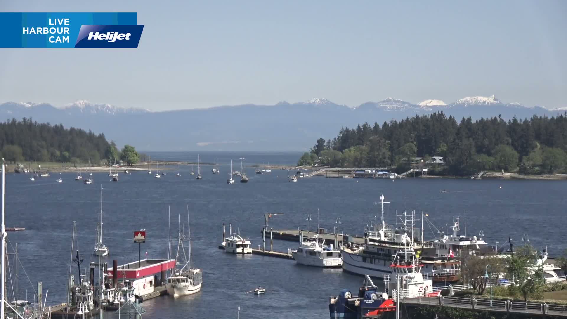 A harbor filled with numerous boats and yachts is nestled against a shoreline of lush green trees, all under a sunny sky with snow-capped mountains visible in the distance.