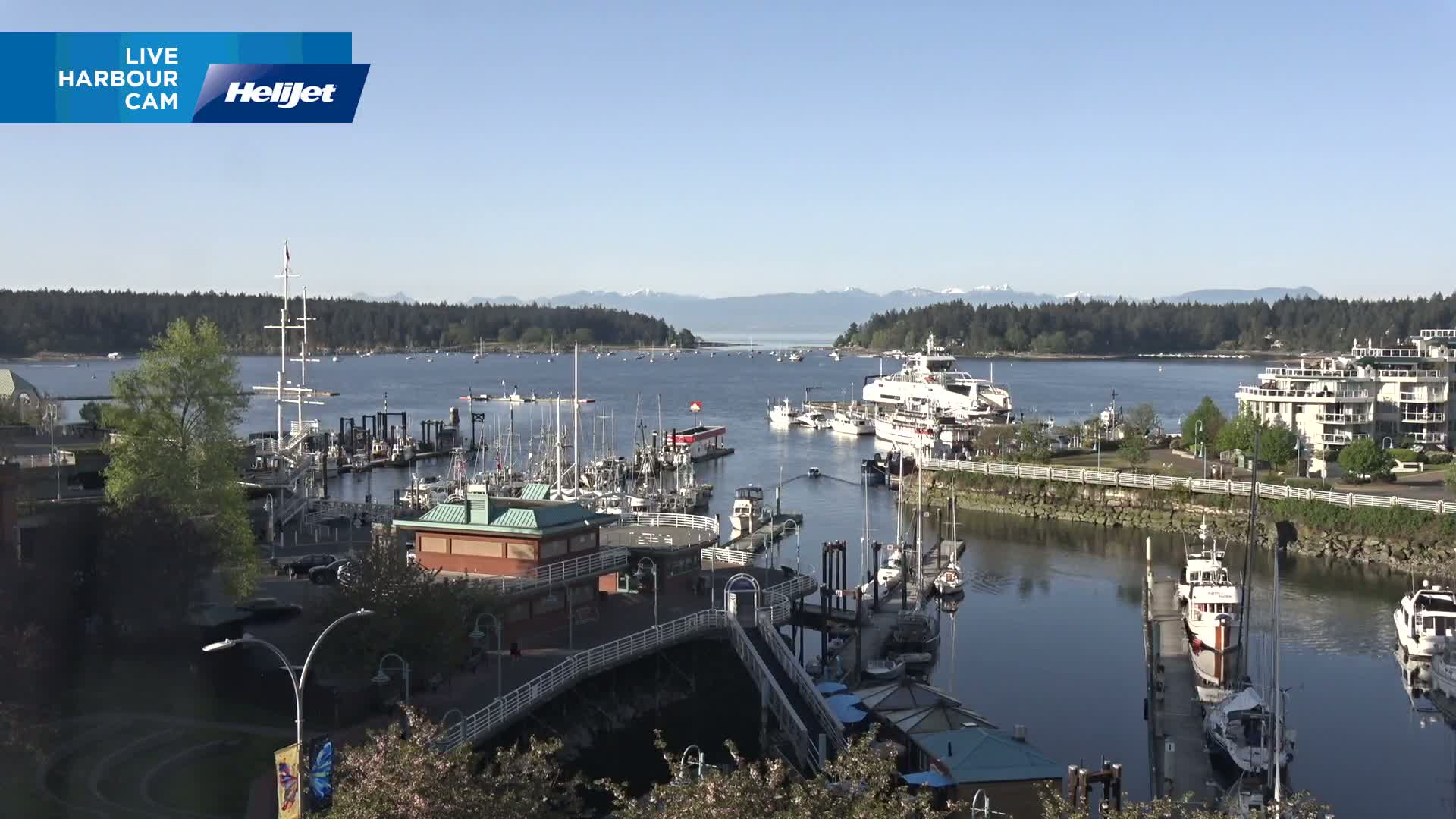 A sunny harbor scene shows numerous boats docked and in the water, with a larger ferry in the distance, nestled between waterfront buildings and lush green trees, under a clear blue sky.