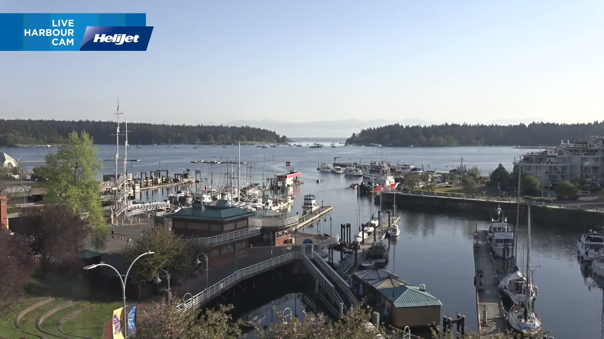 A sunny day reveals a harbor filled with numerous boats and yachts docked at piers, with a background of lush green trees and distant mountains.