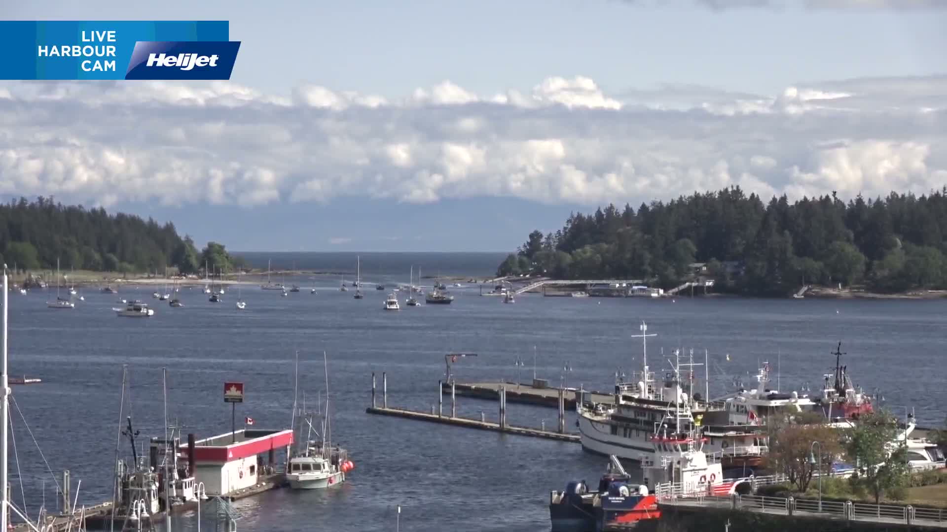 A sunny day shows a harbor filled with many boats and ships of varying sizes, some docked at piers, others anchored in the water, with a background of forested land and a partly cloudy sky.