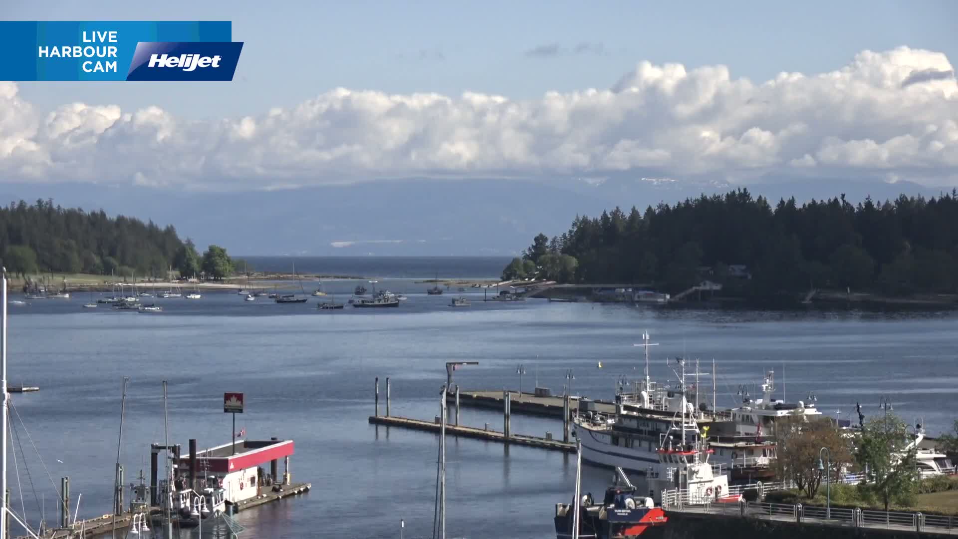 A harbor filled with boats on a partly cloudy day, with mountains visible in the distance.