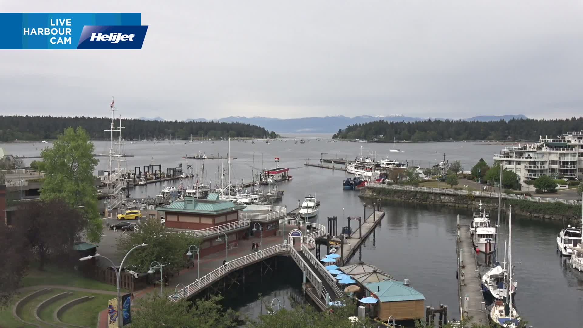 A harbor filled with boats on a cloudy day, with a backdrop of forested hills and mountains.