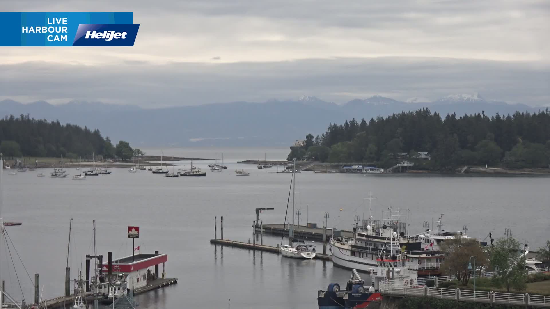 A harbor filled with boats and a gas station, under an overcast sky, with forested land and distant mountains in the background.