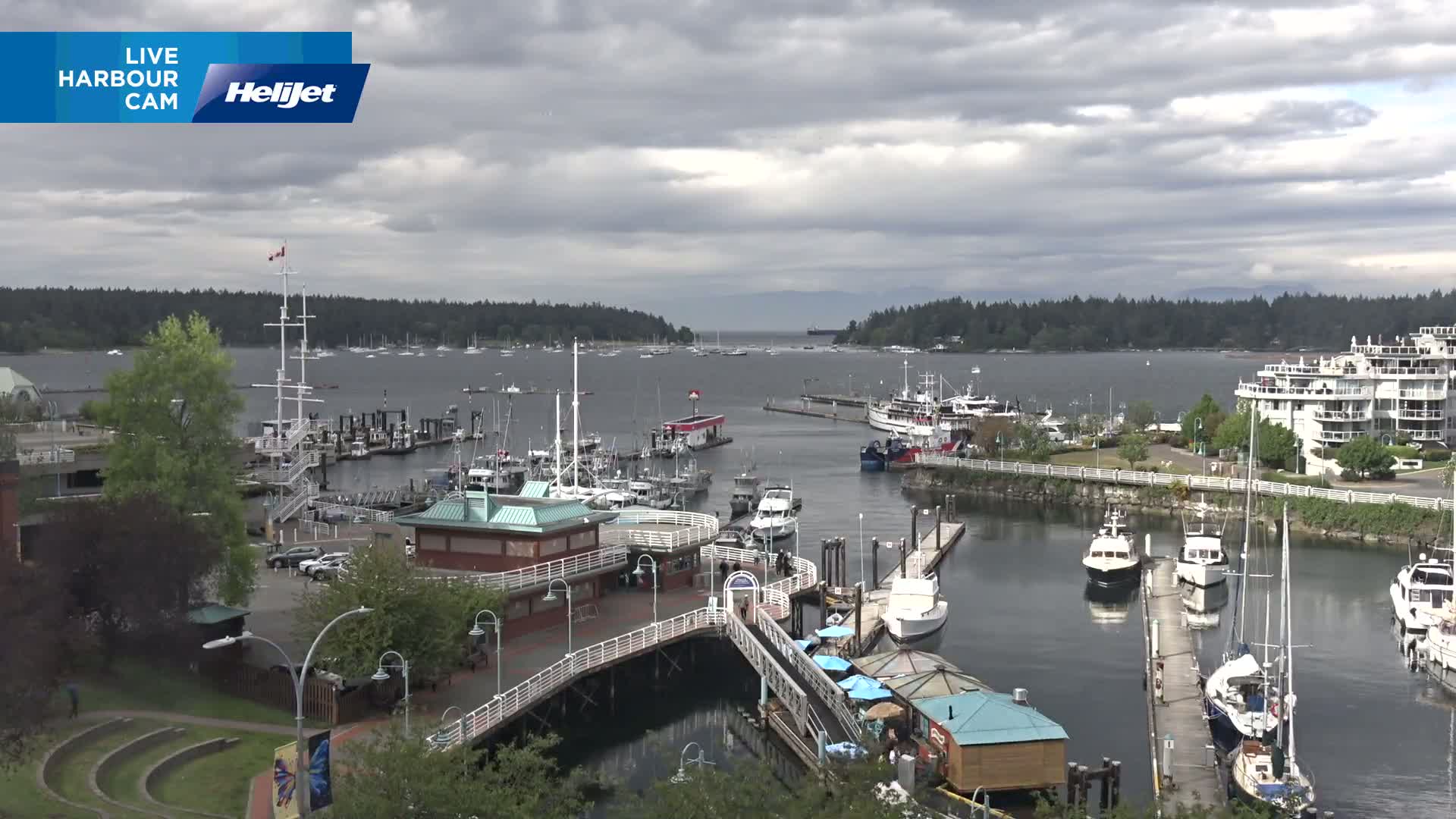 A harbor filled with numerous boats and yachts under a cloudy sky, with a shoreline featuring buildings and green landscaping.