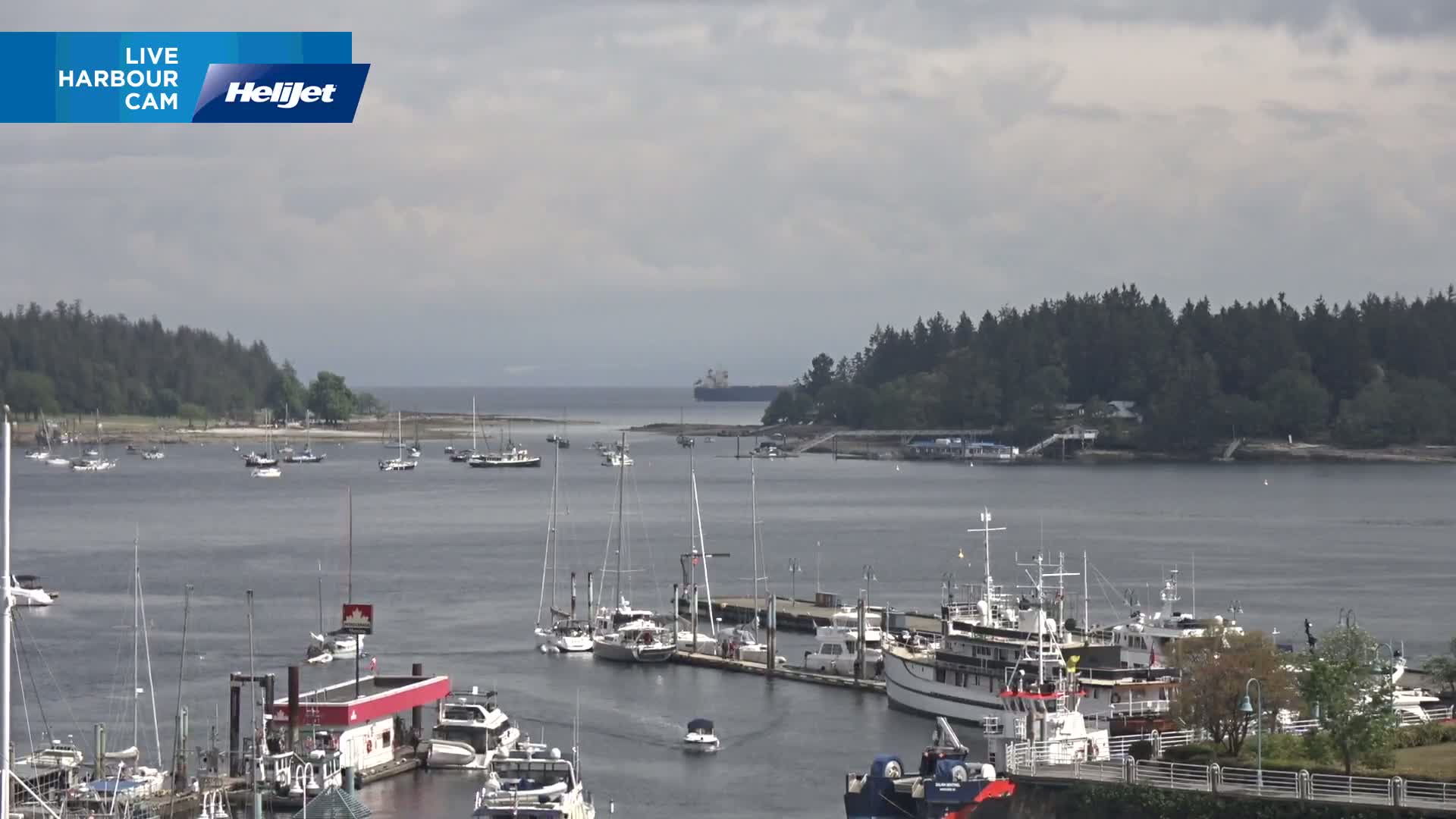 A harbor filled with numerous sailboats and motorboats is shown under a cloudy sky, with a larger vessel visible in the distance.
