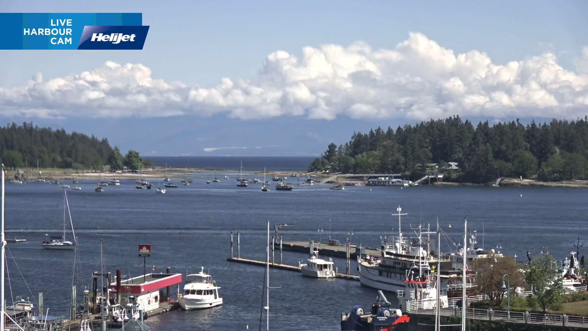 A sunny harbor scene shows numerous boats moored at docks and others sailing on the water, with a forested island and partly cloudy skies in the background.