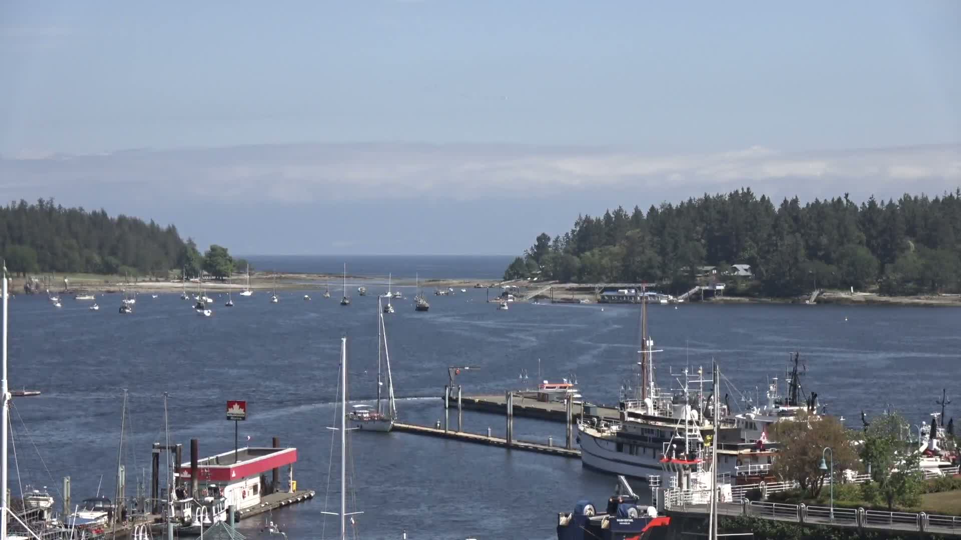 A calm, sunny day reveals a harbor filled with sailboats and larger vessels, with forested islands in the background.