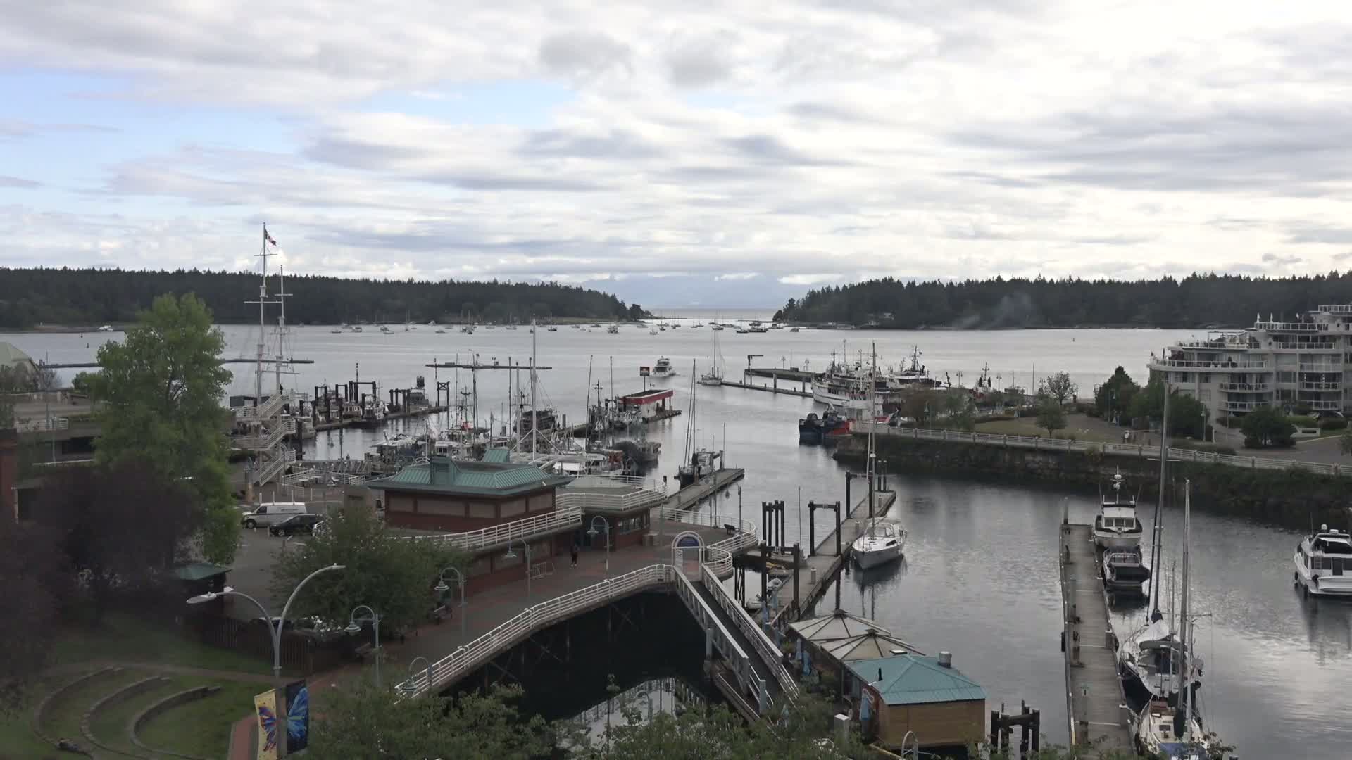 A harbor filled with numerous boats and ships under a cloudy sky, nestled between forested hillsides.
