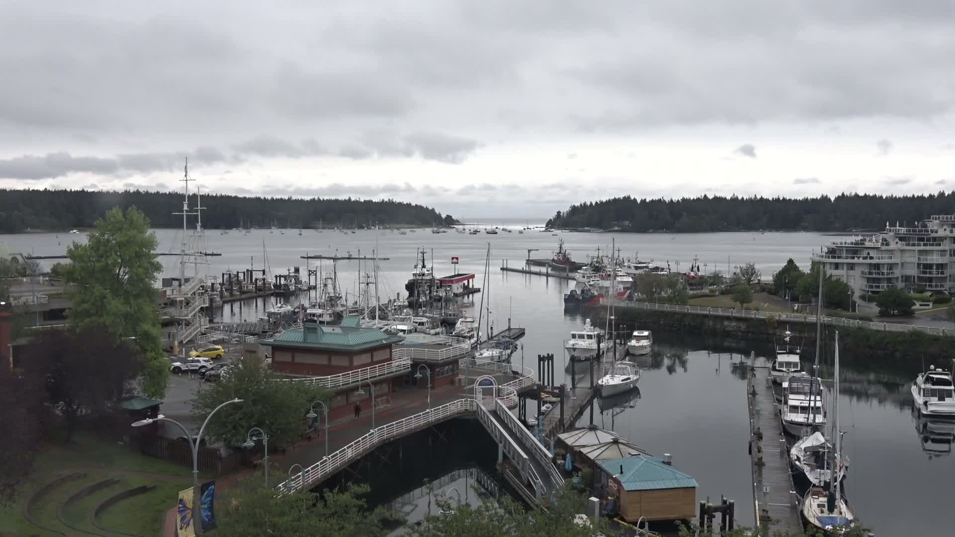 A harbor filled with numerous boats and ships under an overcast sky, surrounded by waterfront buildings and lush greenery.