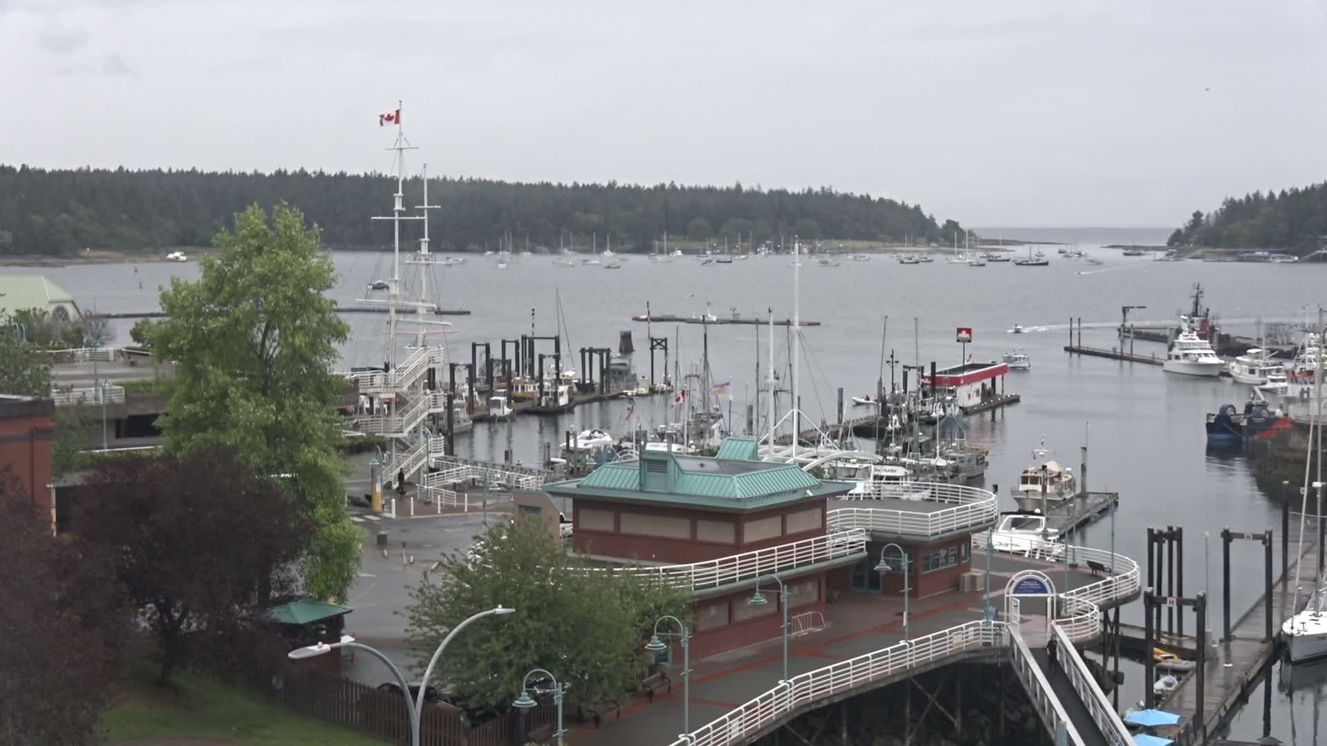 Nanamio City & Nanaimo Harbour Live Cam - Nanaimo, Nanaimo Regional, British Columbia, Canada
