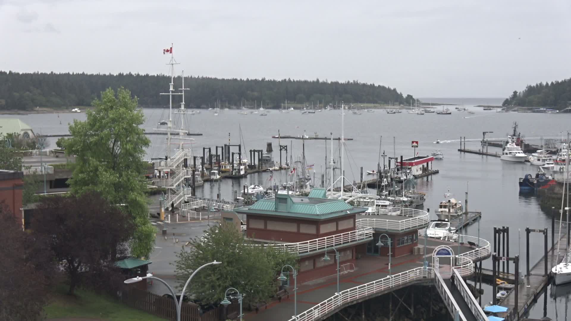 Nanamio City & Nanaimo Harbour Live Cam - Nanaimo, Nanaimo Regional, British Columbia, Canada