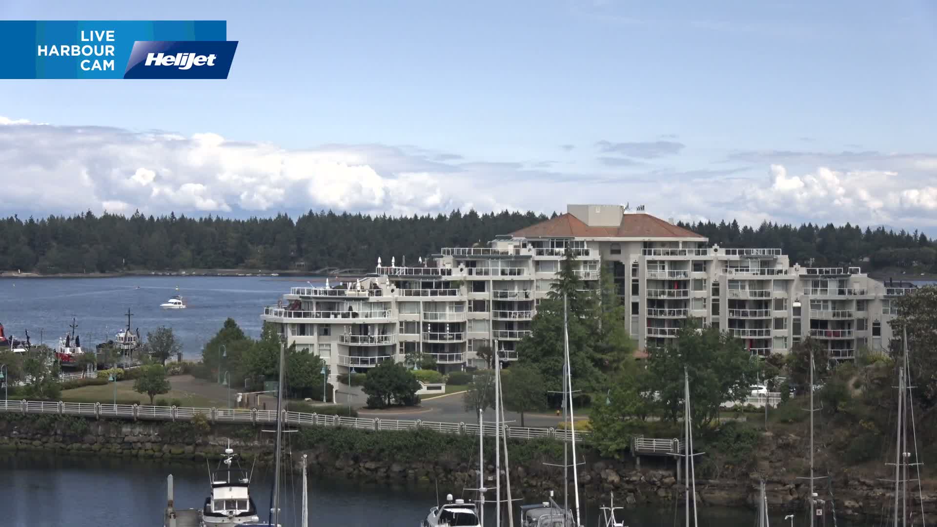 A large multi-story residential building sits on a waterfront, partially obscured by trees and numerous sailboats in a harbor under a partly cloudy sky.