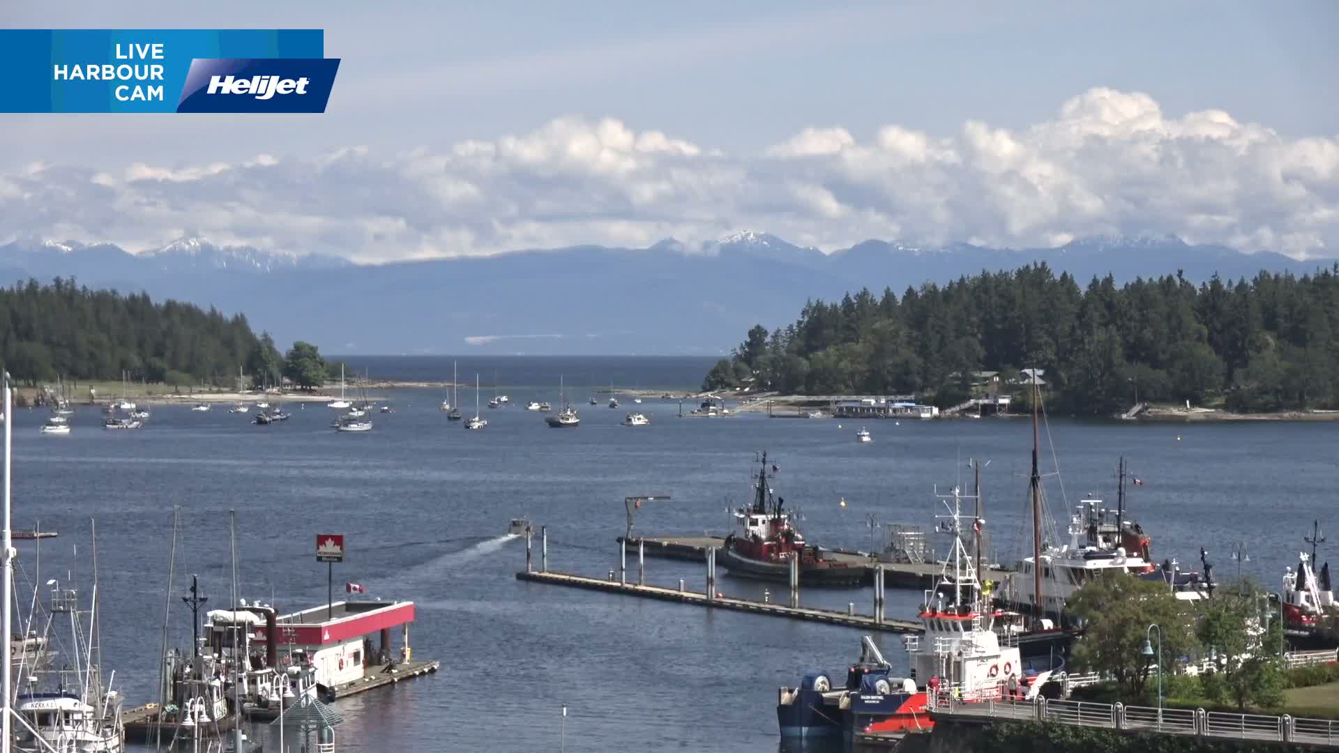 A harbor with numerous boats and tugboats is shown, under a partly cloudy sky, with mountains in the distance.