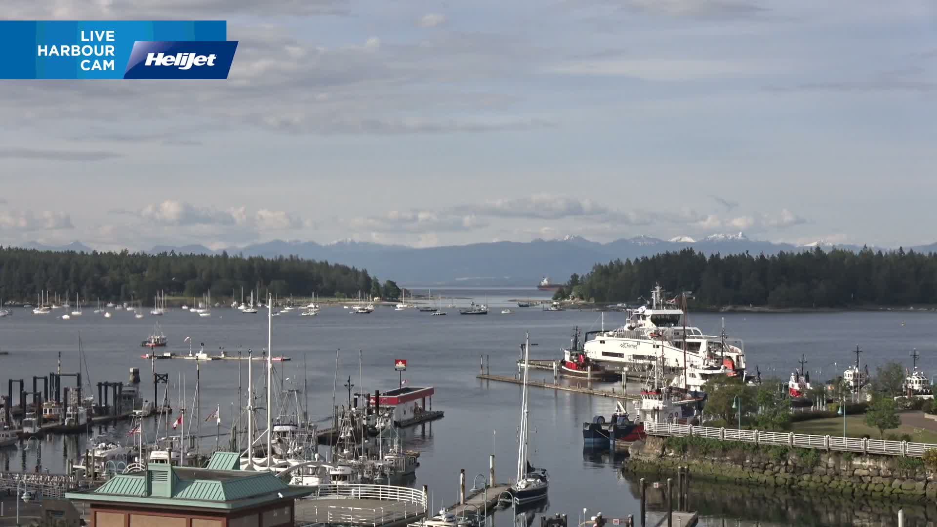 A harbor filled with numerous boats and ships, including a large ferry, is seen under a partly cloudy sky, with mountains visible in the distance.