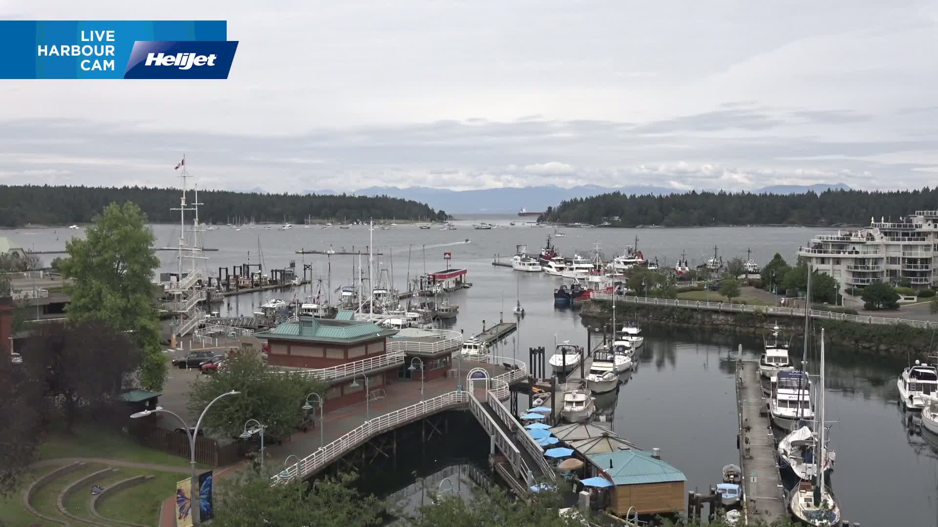 Nanamio City & Nanaimo Harbour Live Cam - Nanaimo, Nanaimo Regional, British Columbia, Canada