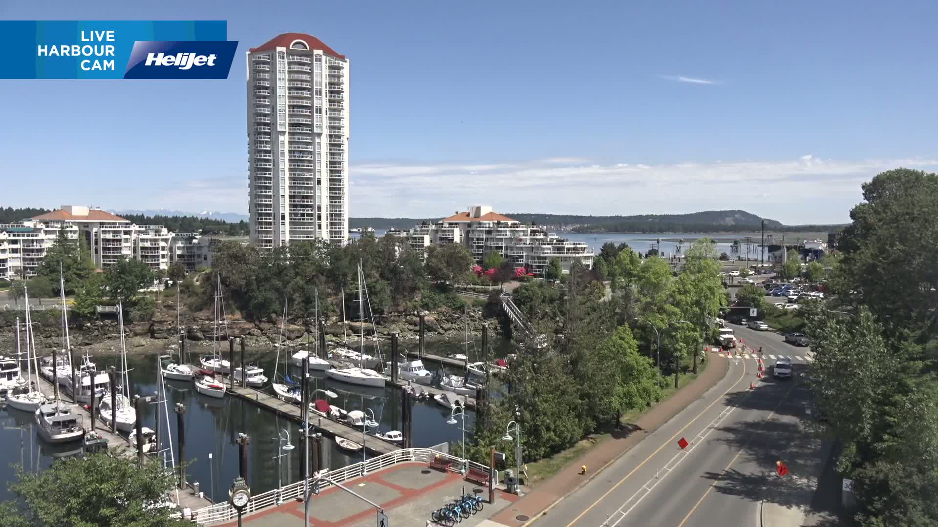 A marina filled with sailboats is situated next to a road and several residential buildings, all under a sunny sky.