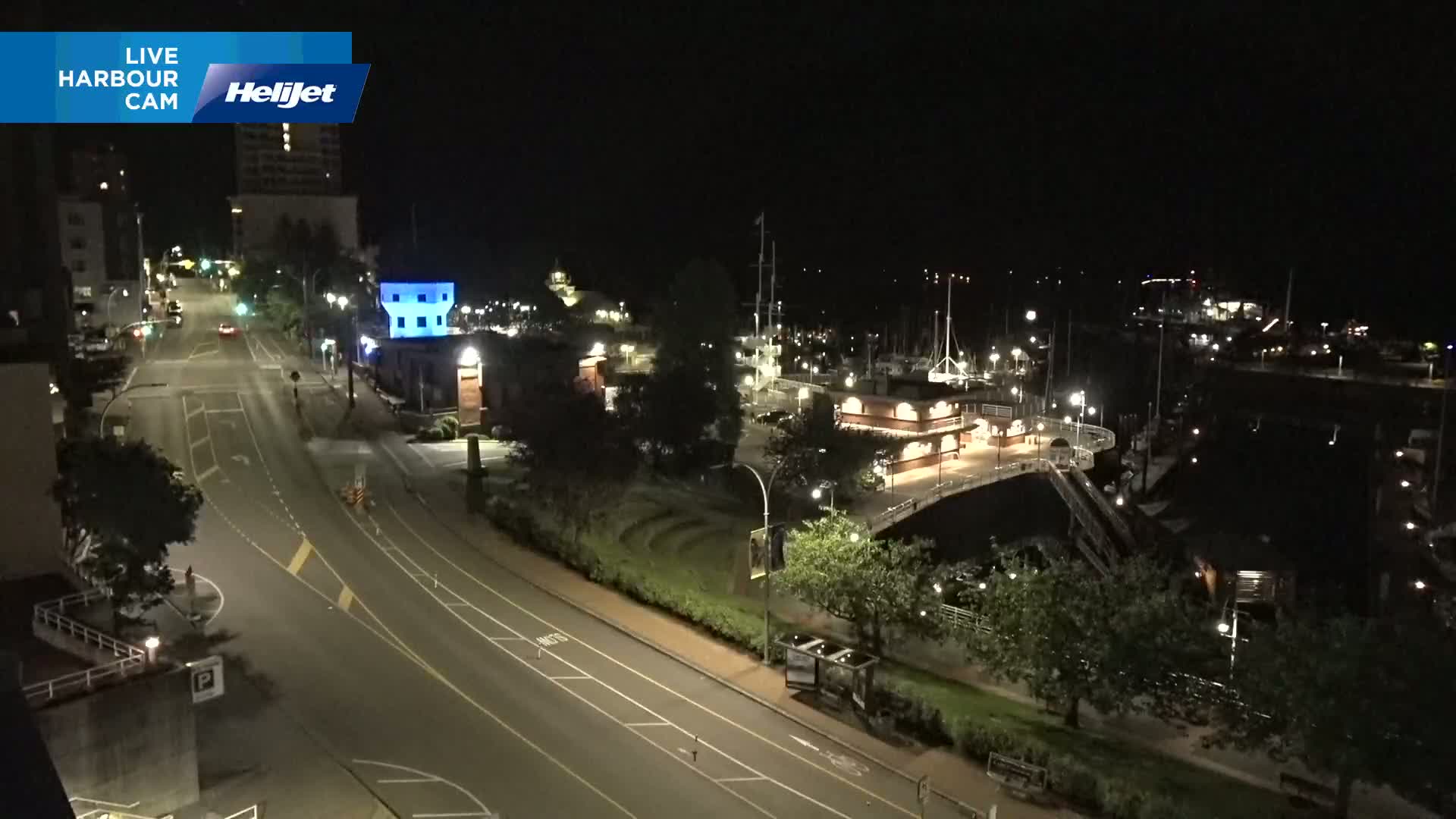 A nighttime, high-angle view of a harbor with docked boats and a mostly empty road leading to it, bordered by trees and buildings.