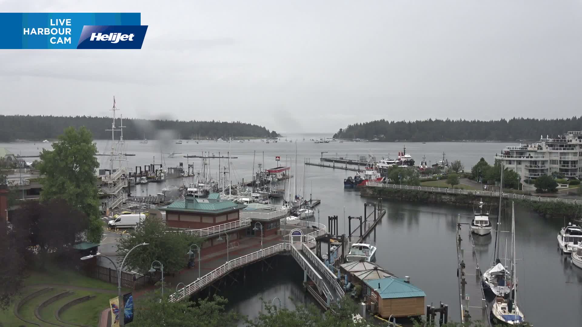 A harbor filled with numerous boats and ships on a cloudy, overcast day, with a background of forested land.
