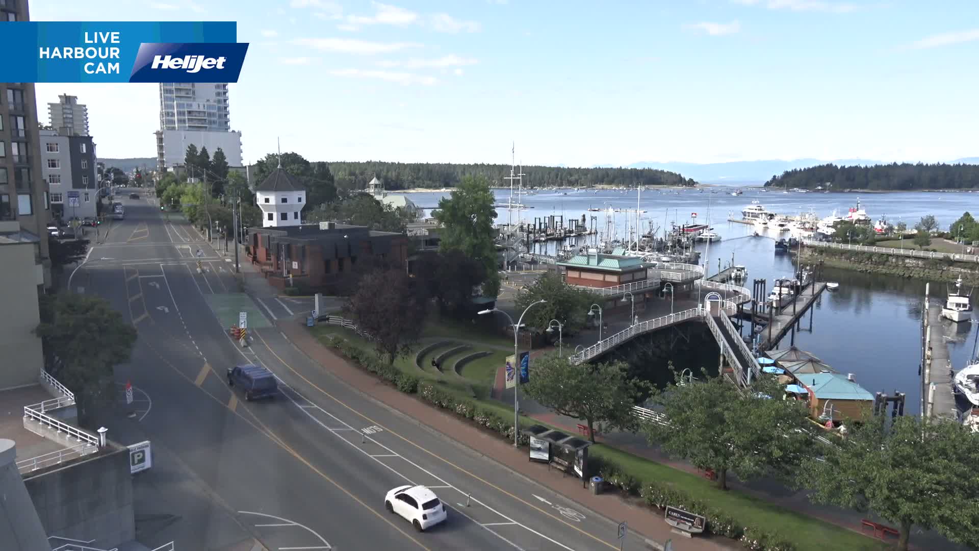 A sunny harbor scene shows a paved road beside a marina filled with boats, with several buildings and trees lining the waterfront.