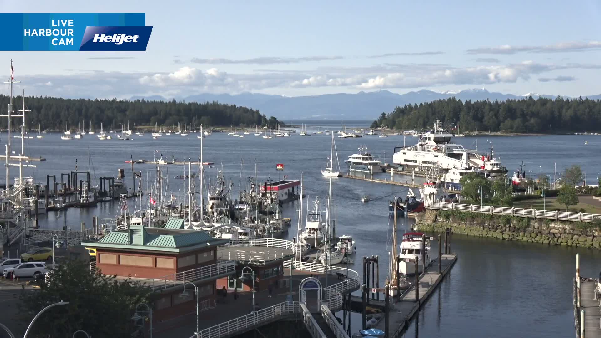 A harbor filled with numerous boats and ships, including a ferry, under a partly cloudy sky with mountains visible in the distance.