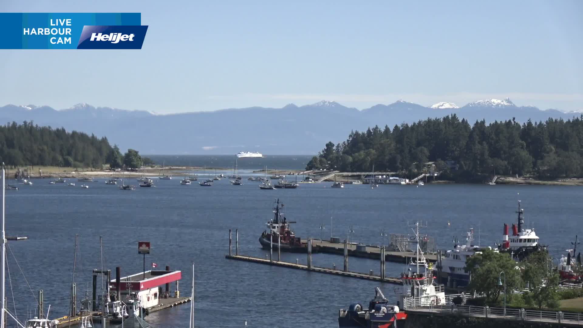 A harbor with numerous boats and docks, a ferry in the distance, and snow-capped mountains under a clear, sunny sky.