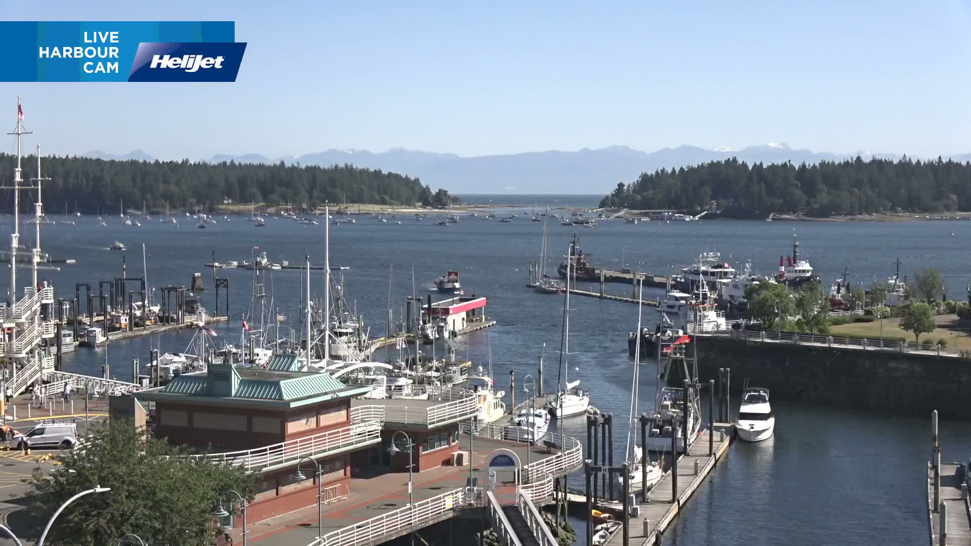 A harbor filled with numerous boats and ships on a sunny day, with mountains visible in the distance.