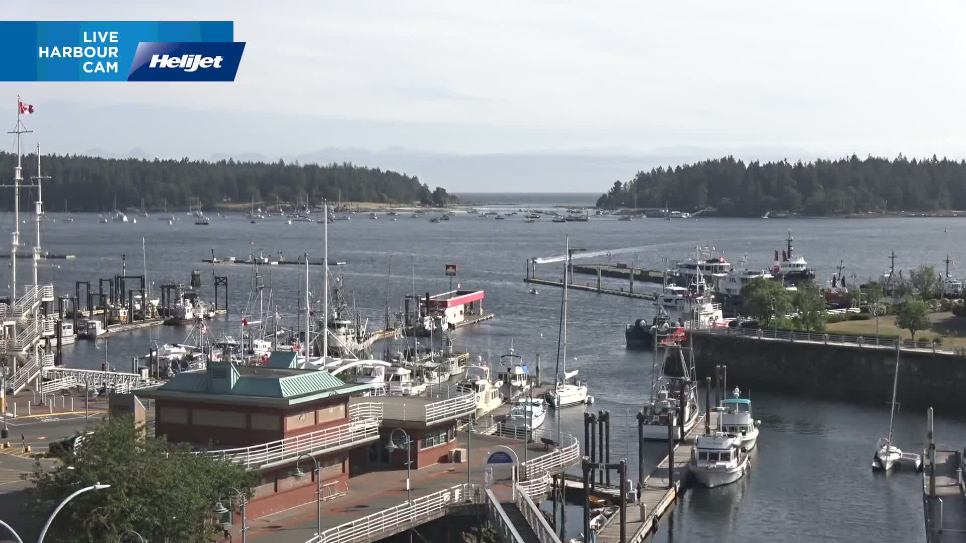A harbor filled with numerous boats and ships on a sunny day, with forested land visible in the background.