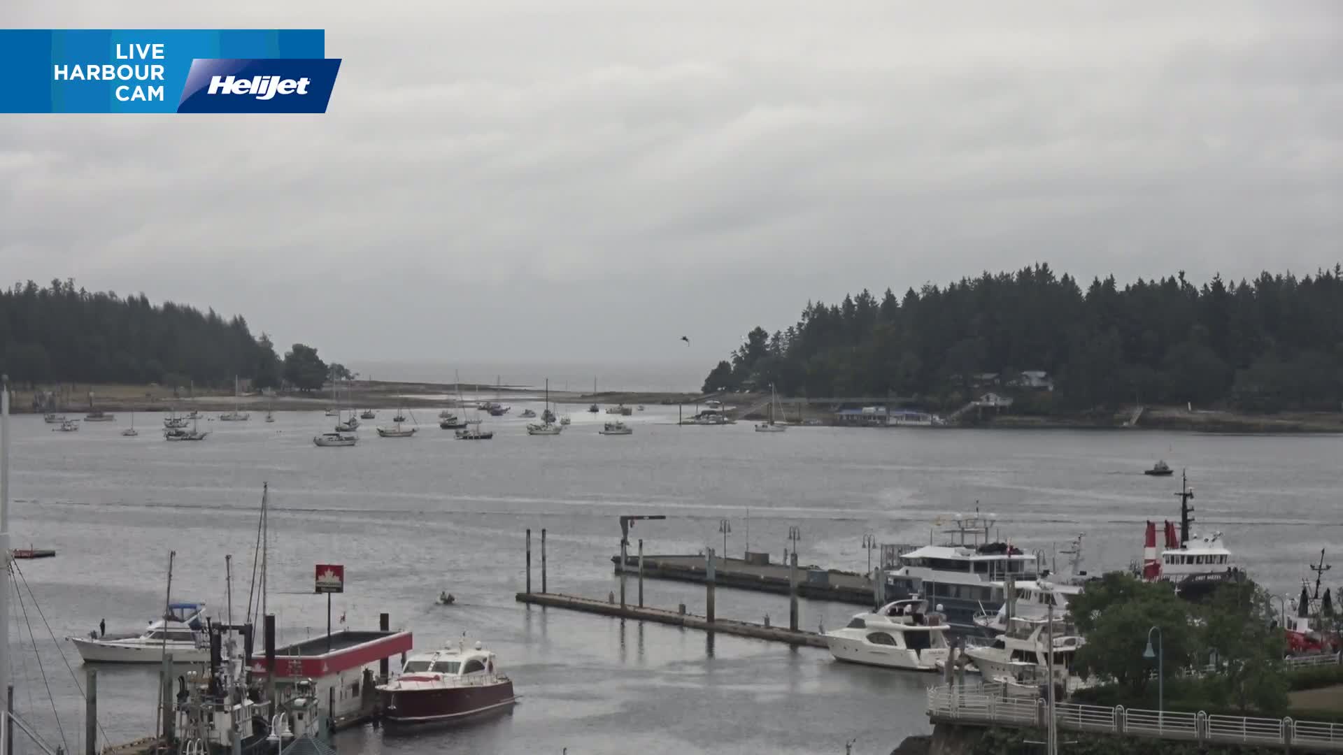 Nanamio City & Nanaimo Harbour Live Cam - Nanaimo, Nanaimo Regional, British Columbia, Canada