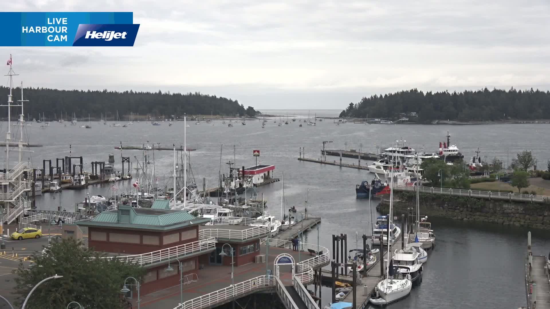 Nanamio City & Nanaimo Harbour Live Cam - Nanaimo, Nanaimo Regional, British Columbia, Canada