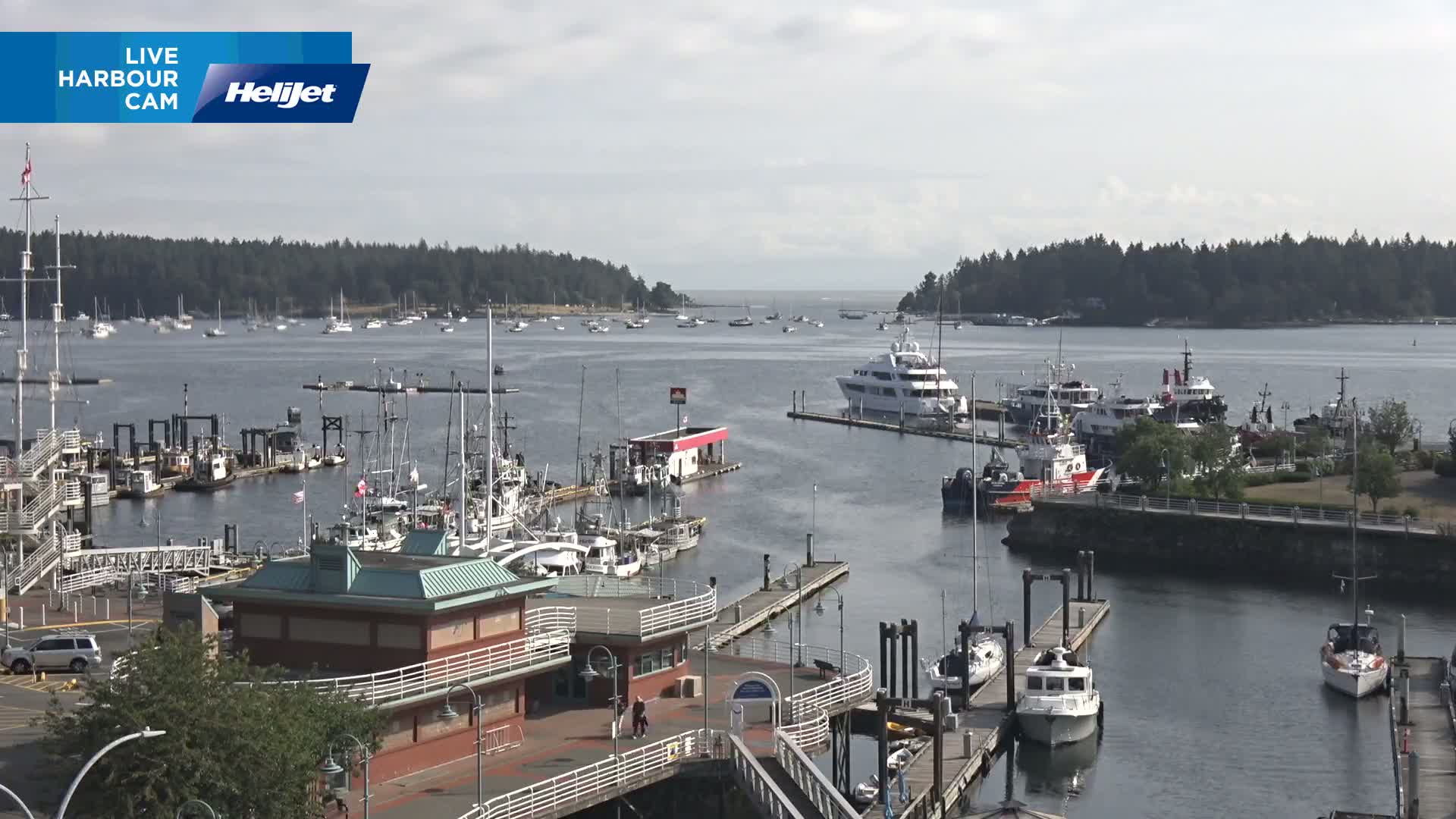 A harbor filled with various boats and yachts on a partly cloudy day, with forested hills visible in the background.