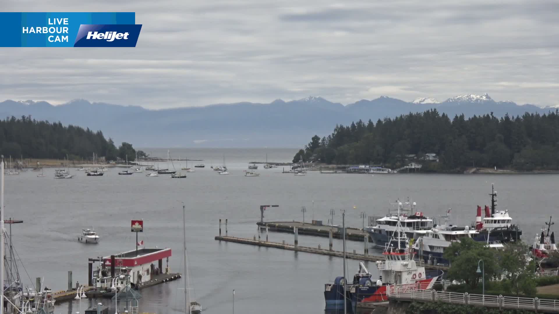 A harbor filled with numerous boats and yachts is shown under an overcast sky, with mountains in the distance.