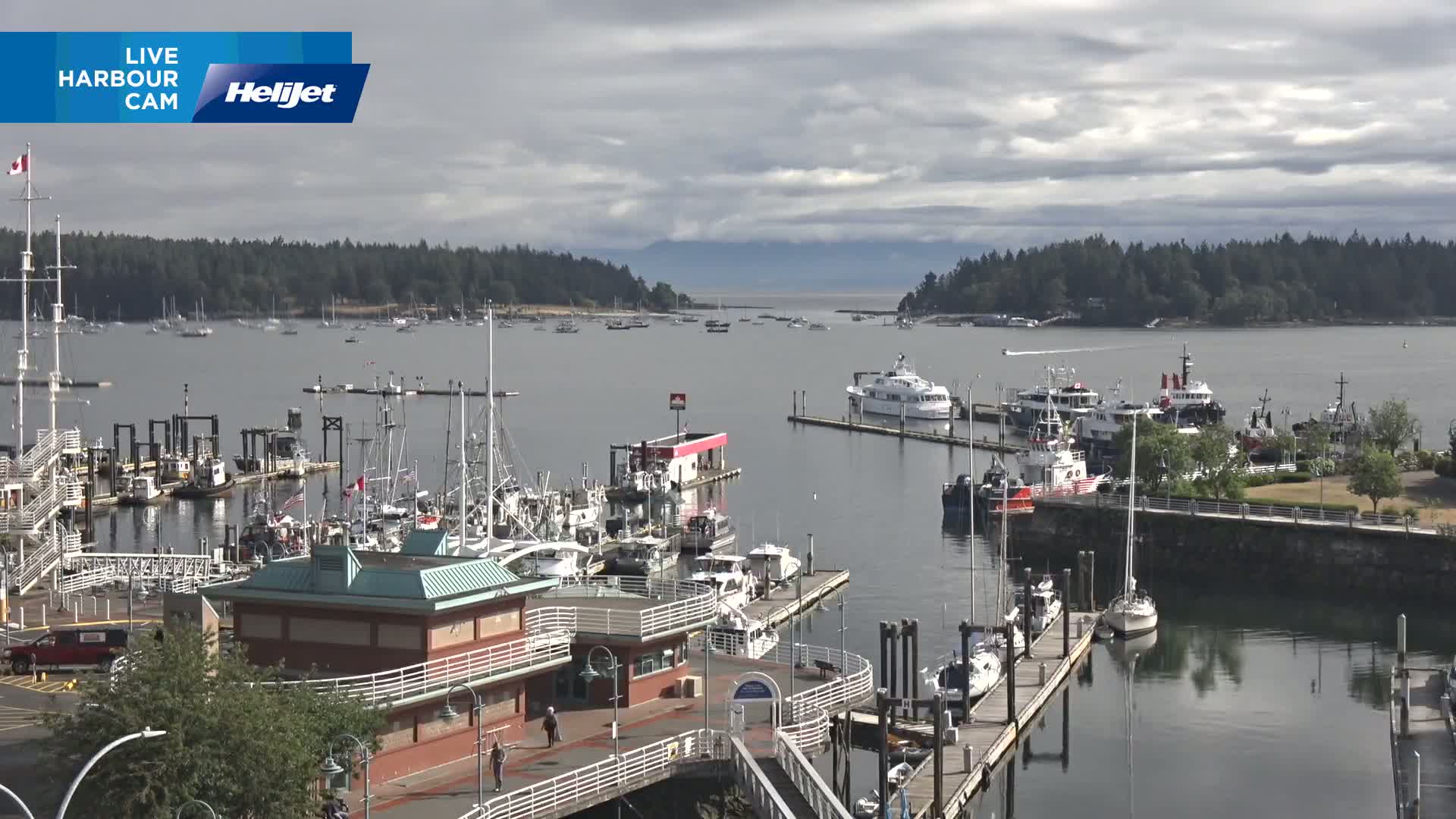 A harbor filled with numerous boats and ships on a cloudy day, with a forested island visible in the distance.
