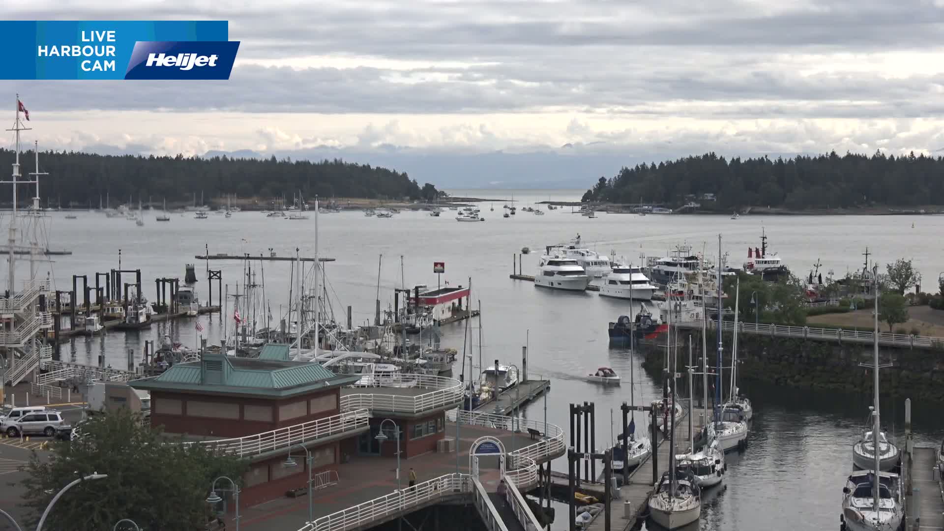 A harbor filled with numerous boats and yachts under a cloudy sky, with a forested shoreline in the background.