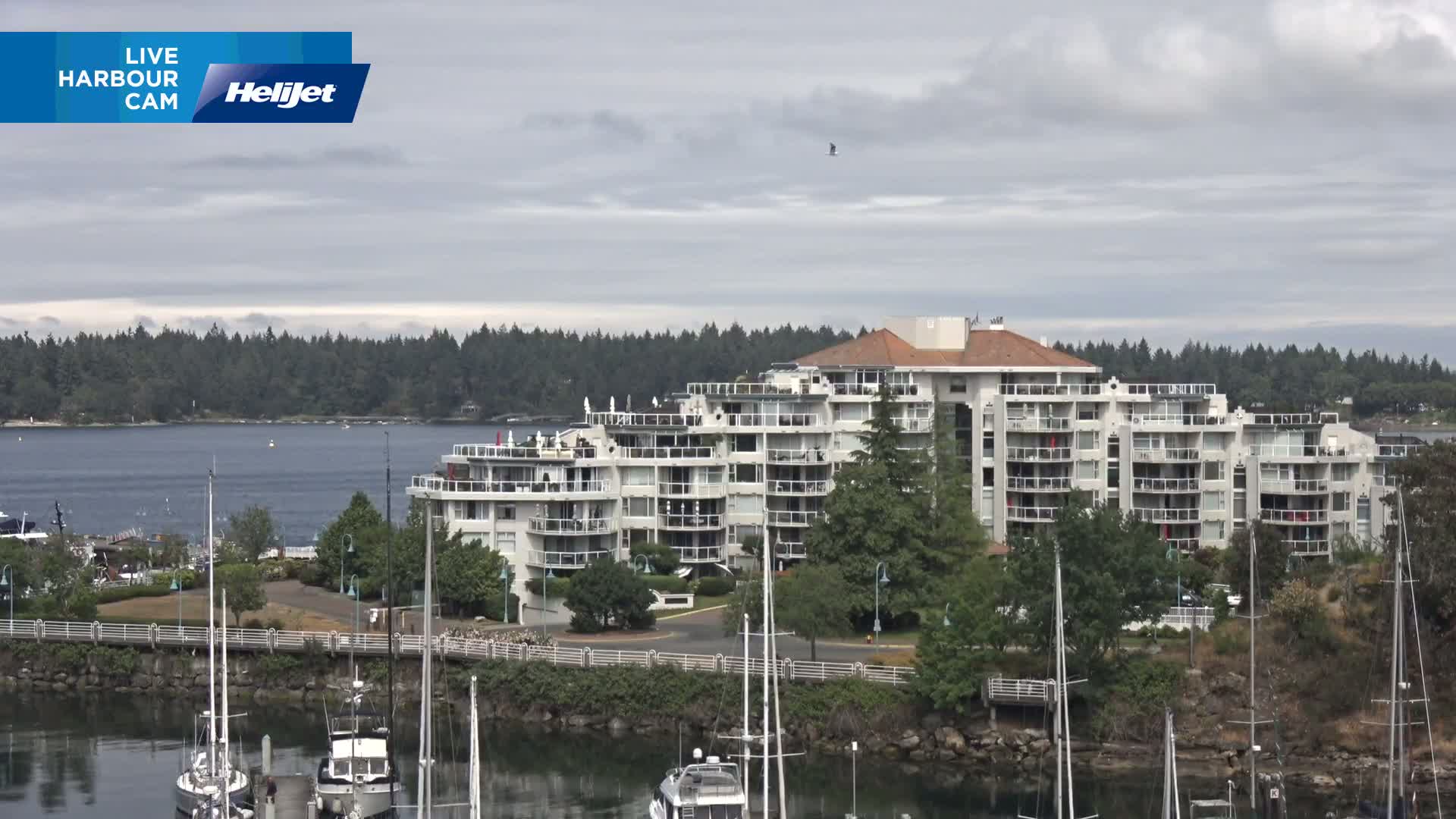 Nanamio City & Nanaimo Harbour Live Cam - Nanaimo, Nanaimo Regional, British Columbia, Canada
