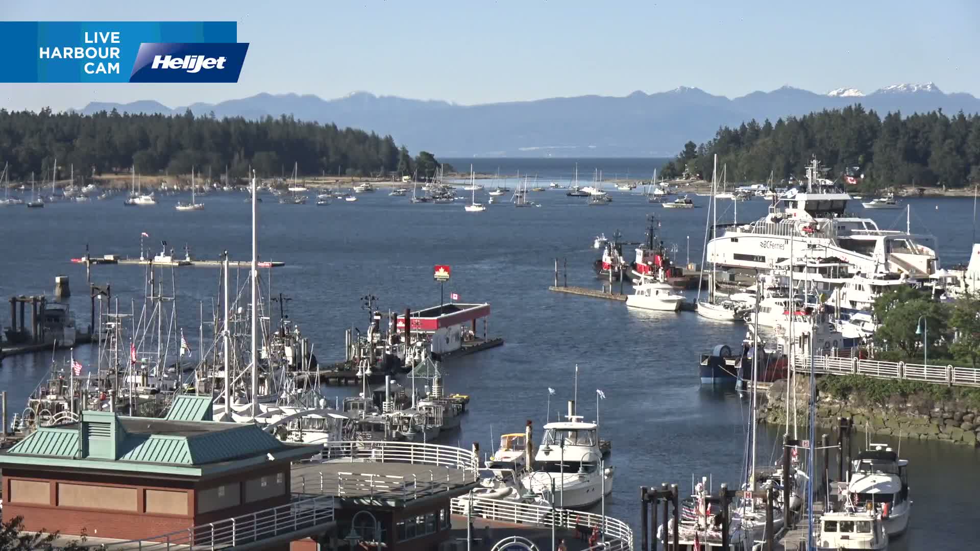 Nanamio City & Nanaimo Harbour Live Cam - Nanaimo, Nanaimo Regional, British Columbia, Canada