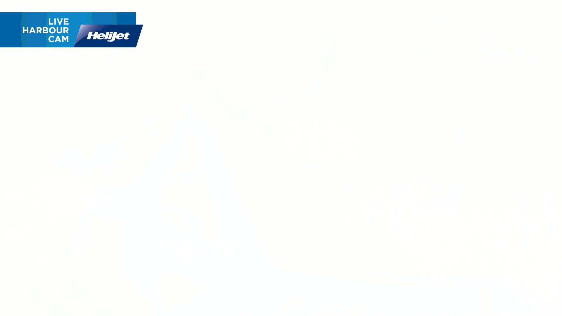 The image is entirely white with a slight grainy texture.